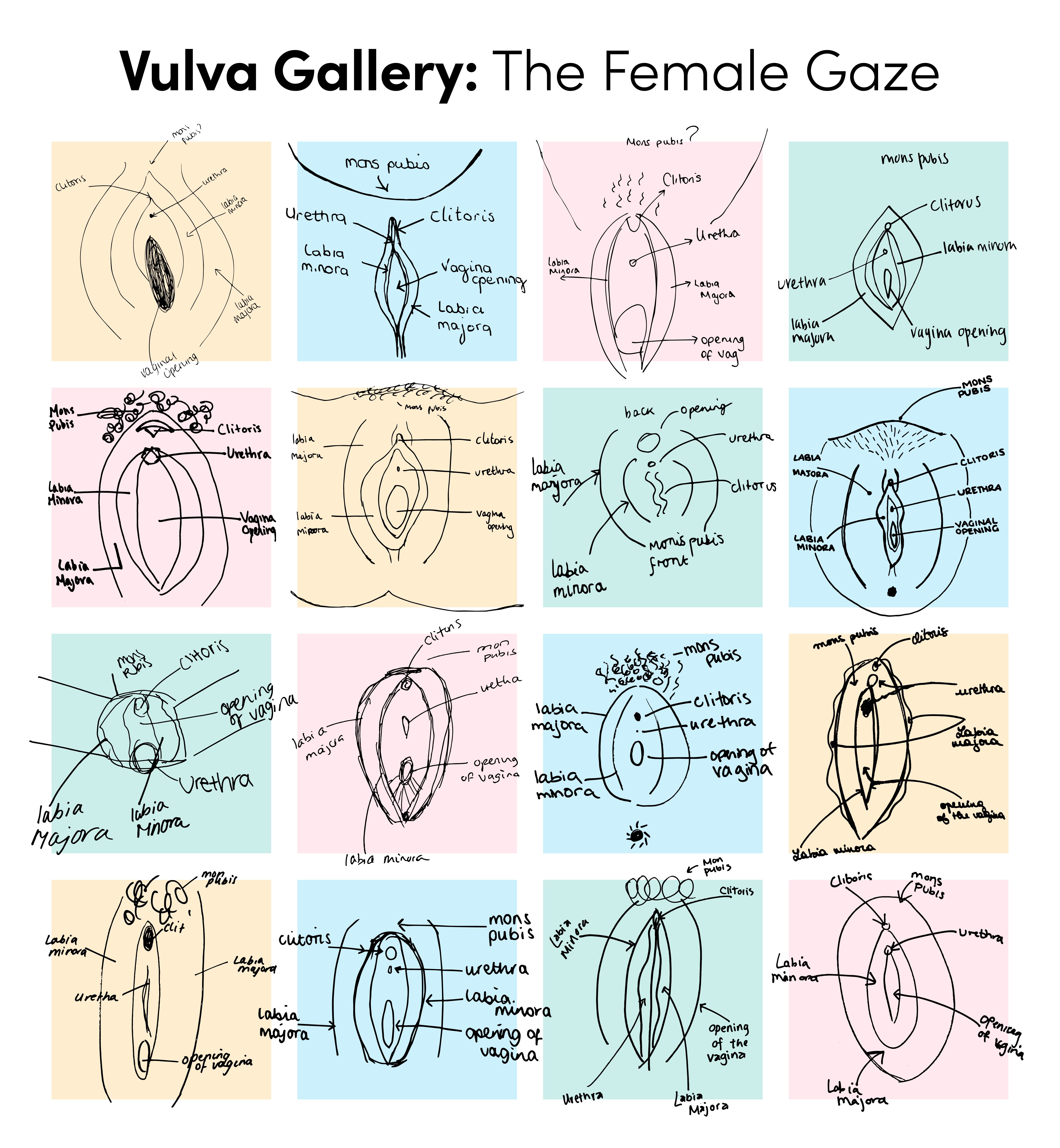 Vulva Gallery_ Female Gaze